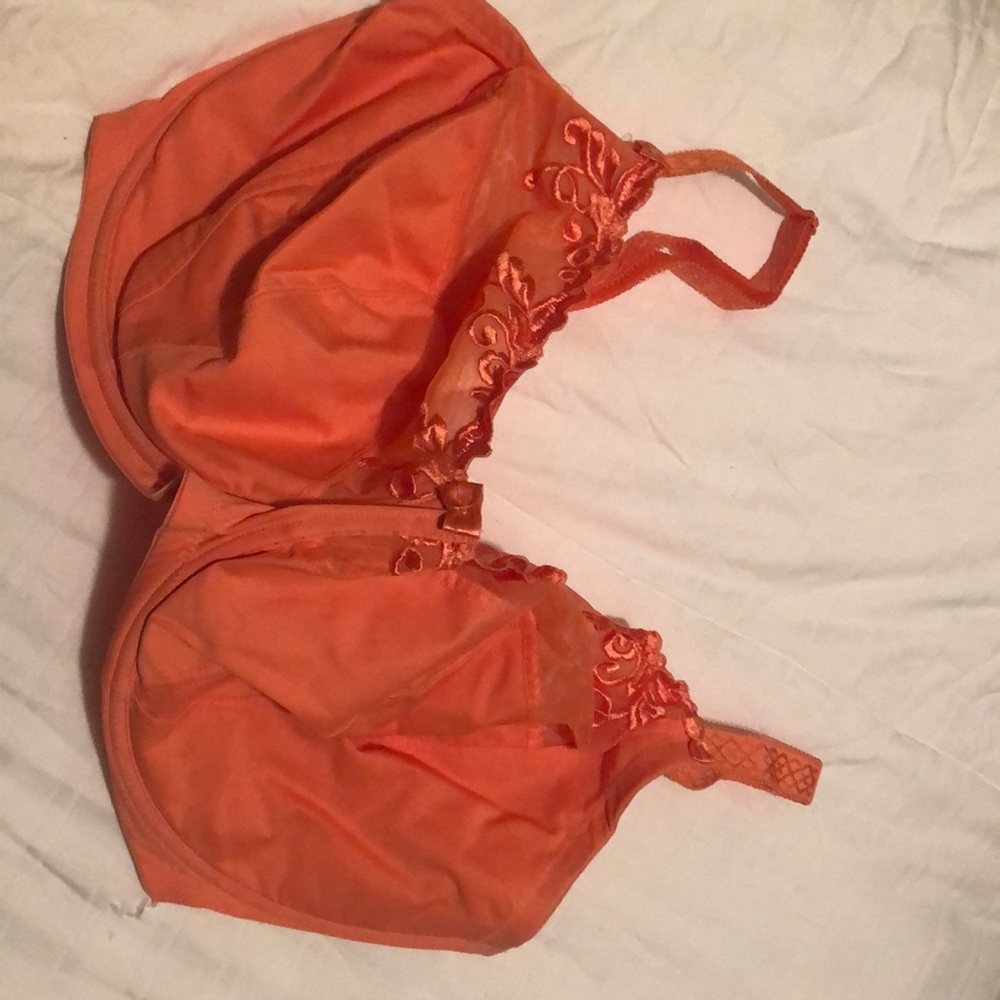 1st & Curve Bra 38J